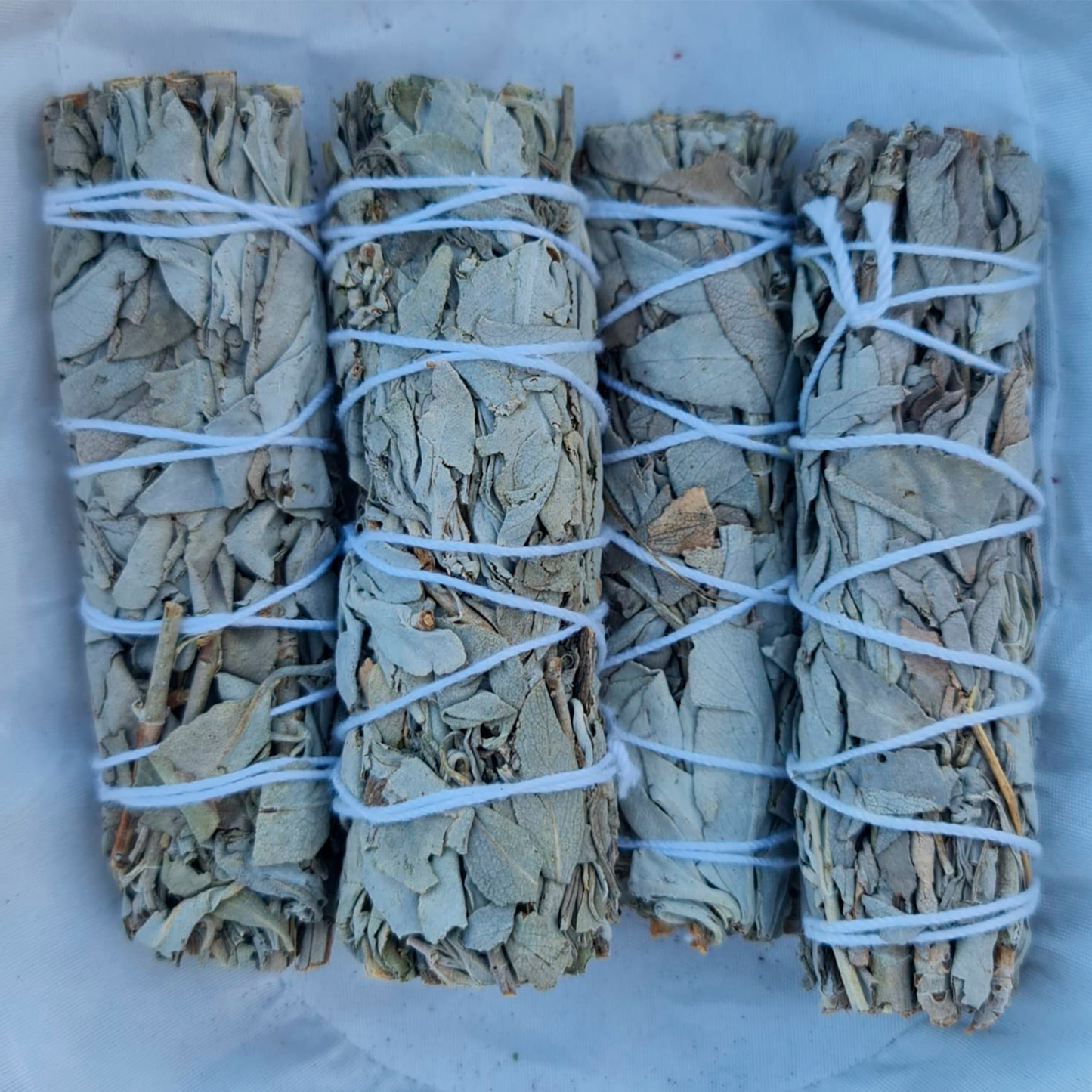 ATADILLO: SALVIA BLANCA