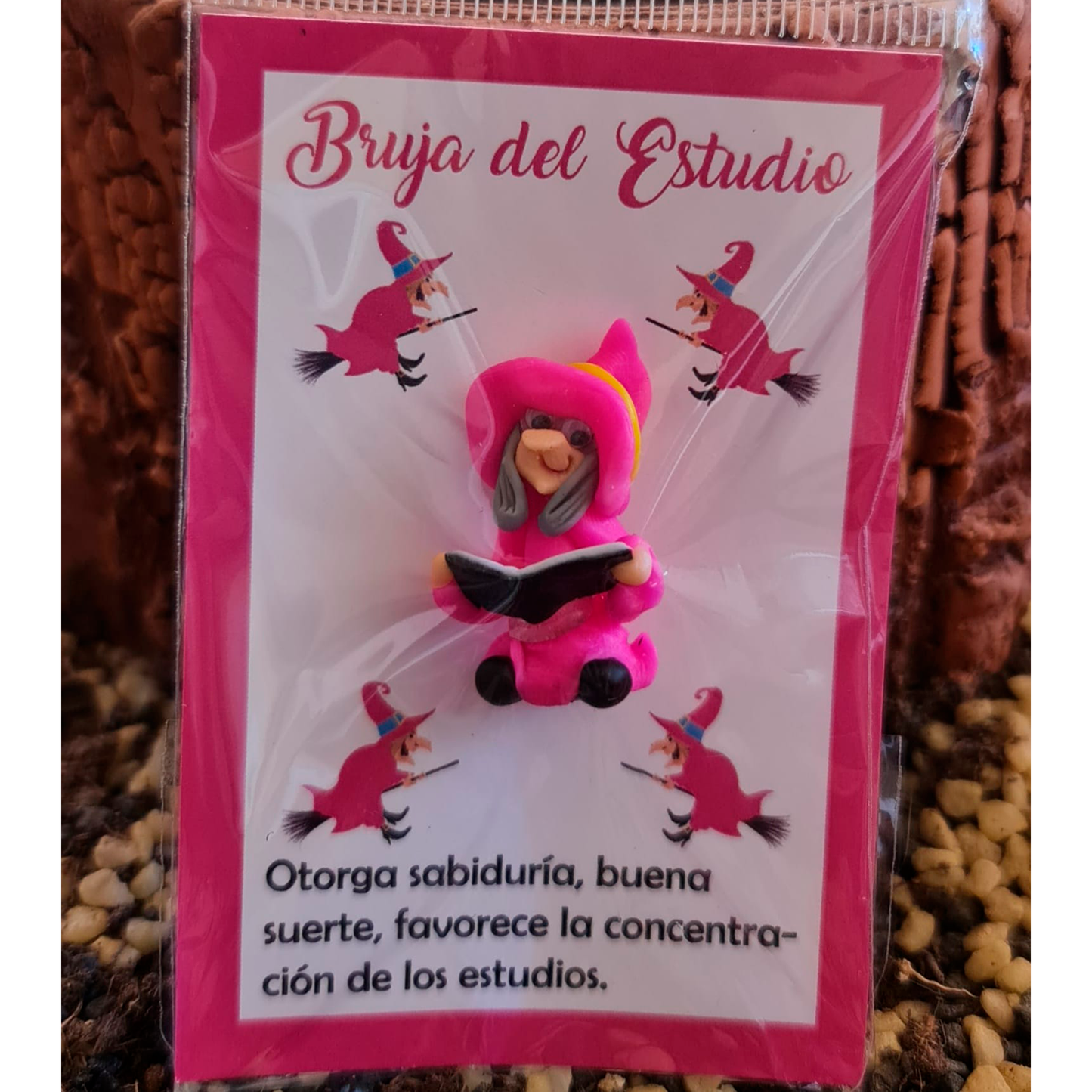 BRUJA DEL: ESTUDIO