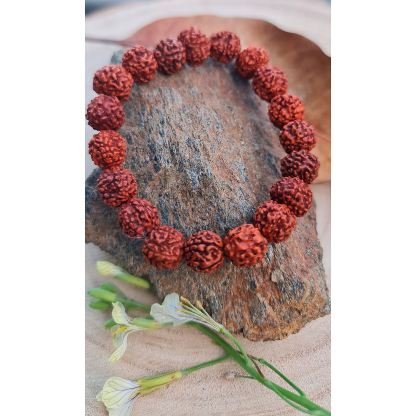 PULSERA: RUDRAKSHA NATURAL