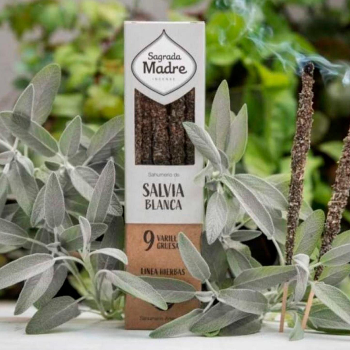 SAHUMERIO DE SALVIA BLANCA