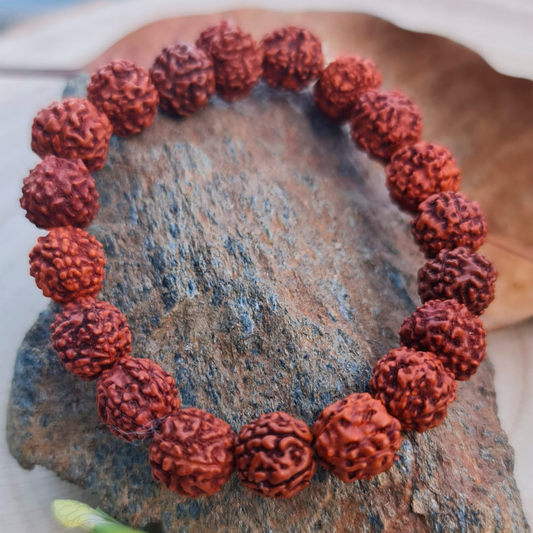 PULSERA: RUDRAKSHA NATURAL