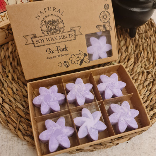WAX MELTS - PACK DE 6 CERAS DE SOJA DE (LAVANDA)