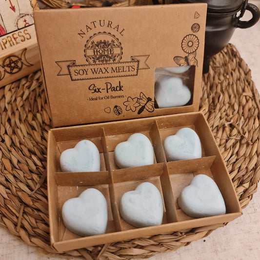 WAX MELTS - PACK DE 6 CERAS DE SOJA (NAGCHAMPA)