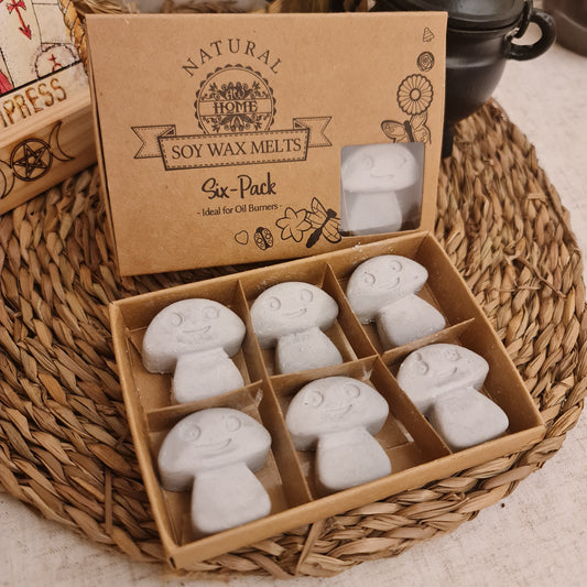 WAX MELTS - PACK DE 6 CERAS DE SOJA (PACHULI)